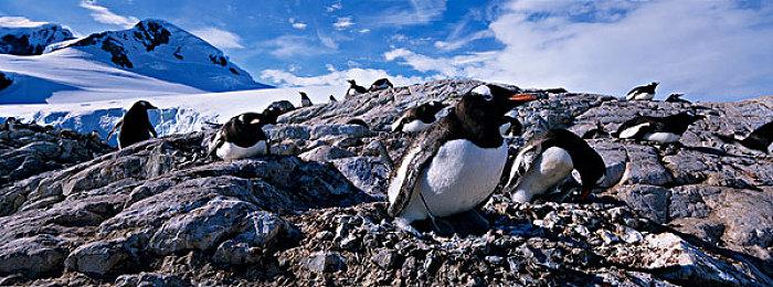 卡普空发行商特卖明日上线 最高可享3折优惠