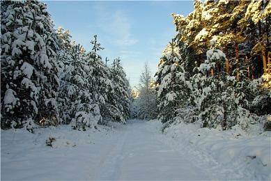 《铲子骑士》开发商公布像素风新作《挖洞鼠米娜》